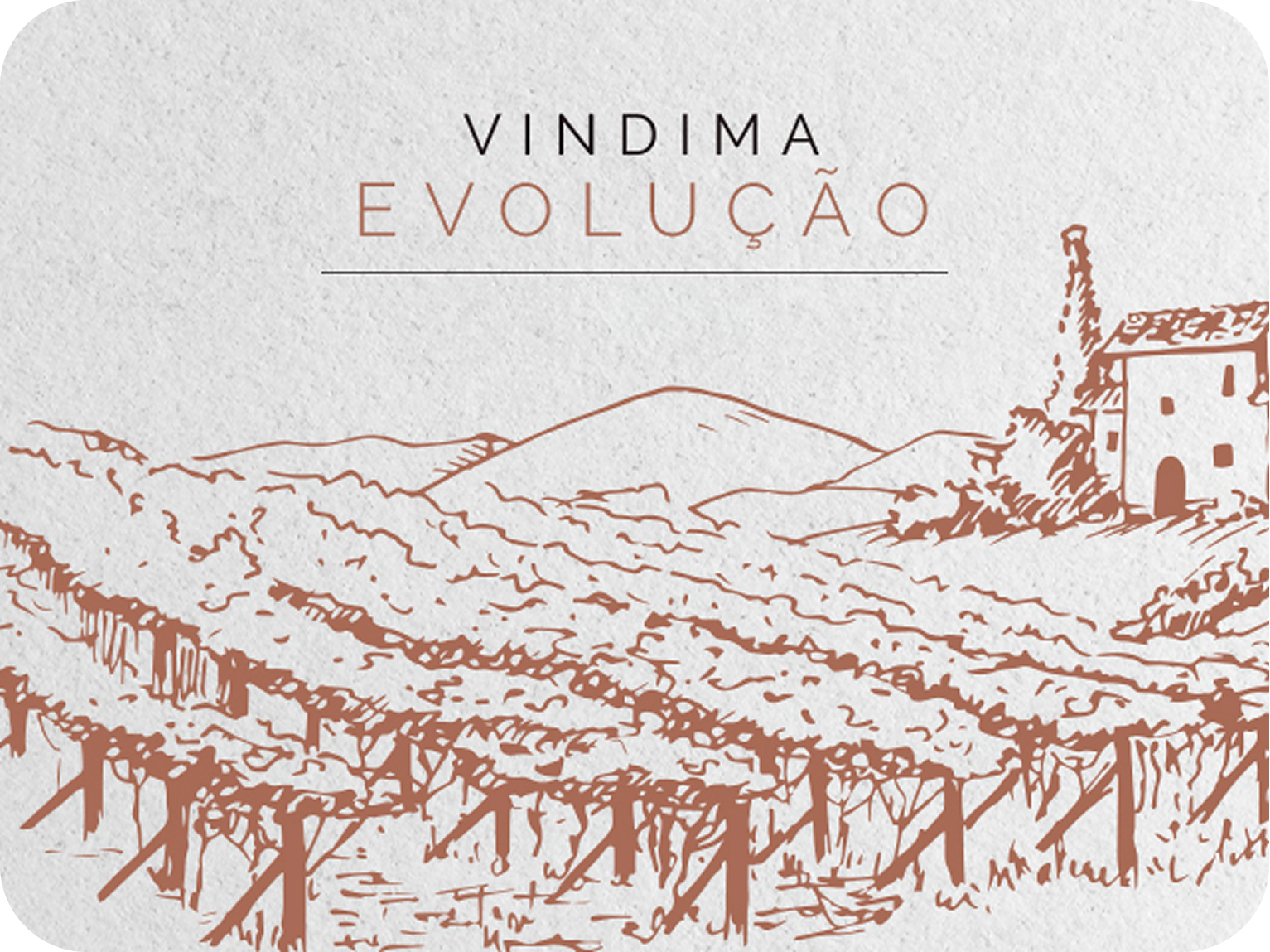 Vindima Evolução