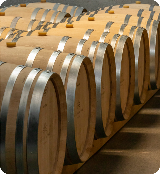Barril vinho Terras Altas