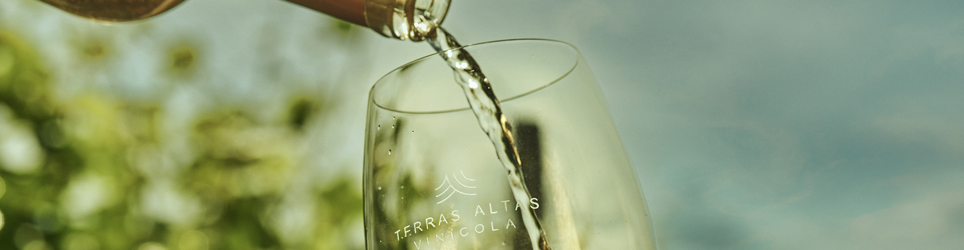 Vinhedo Terras Altas
