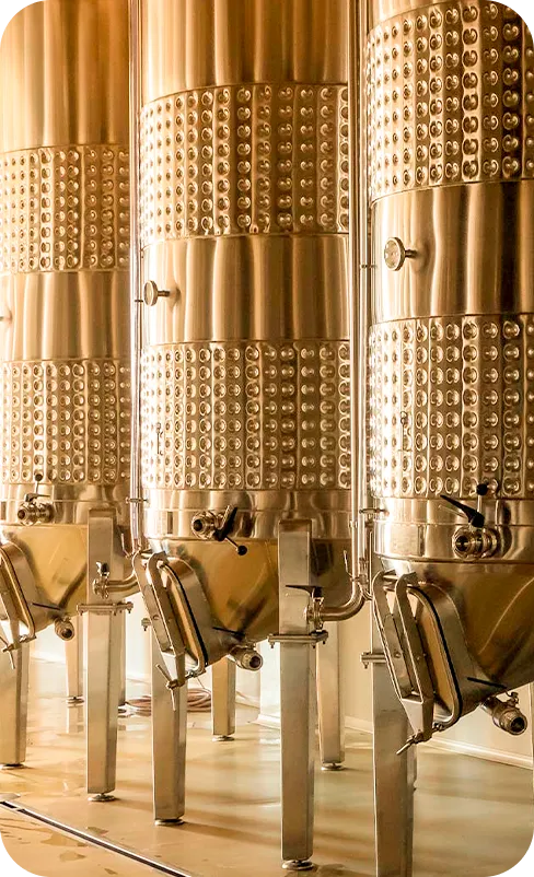 Produção vinho Terras Altas